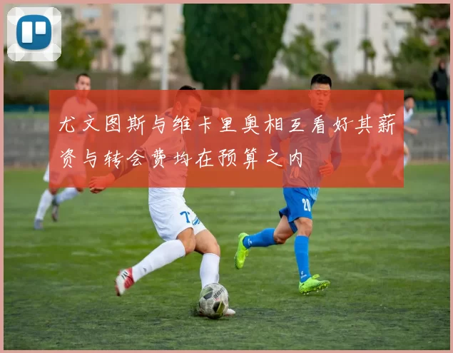 尤文图斯与维卡里奥相互看好其薪资与转会费均在预算之内